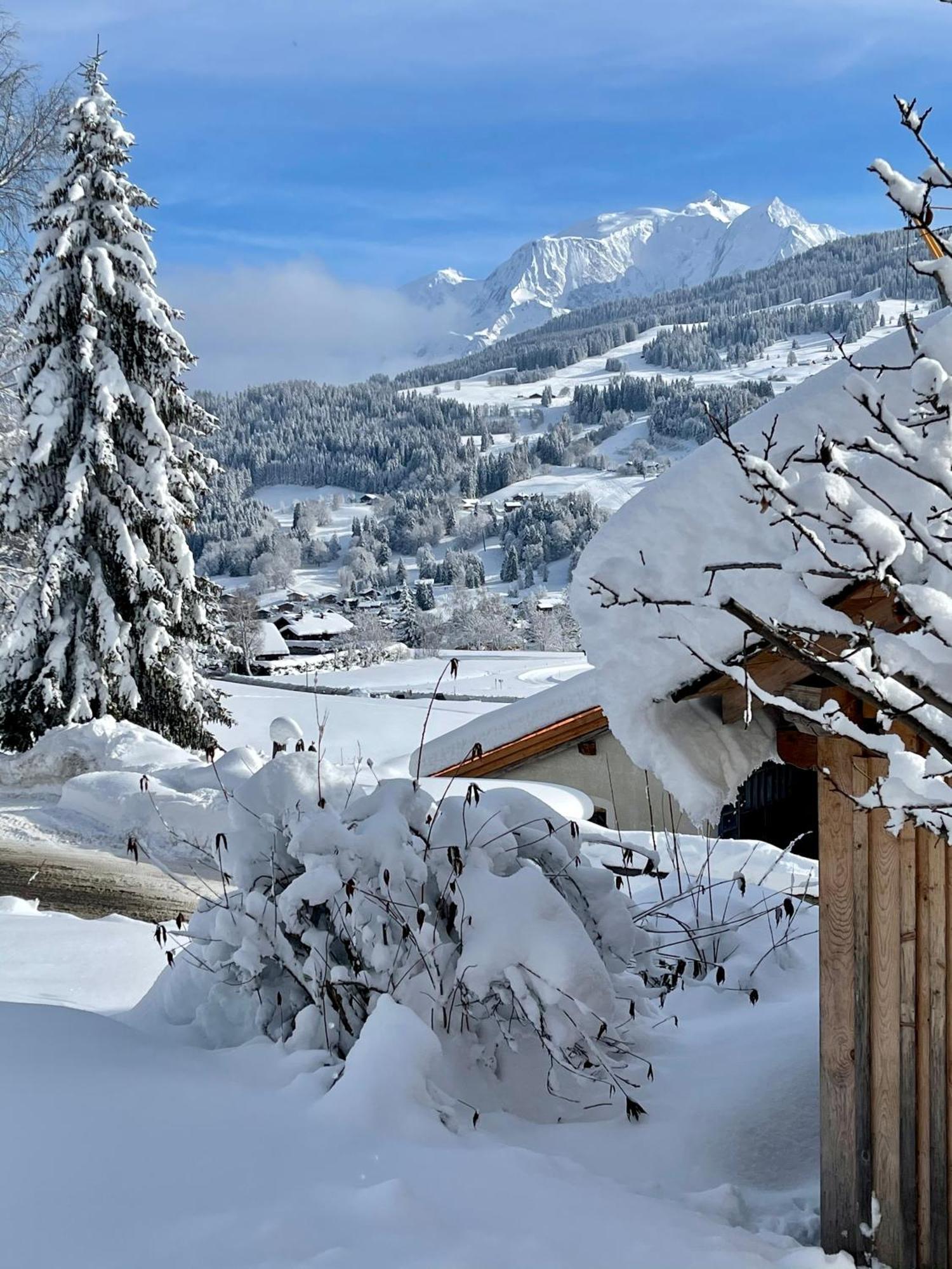 Chalet A Megeve-Vauvray - Grands Appartements , Vue Mont Blanc Demi-Quartier المظهر الخارجي الصورة