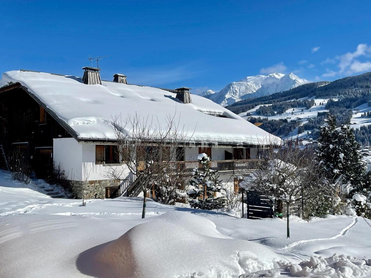 Chalet A Megeve-Vauvray - Grands Appartements , Vue Mont Blanc Demi-Quartier المظهر الخارجي الصورة