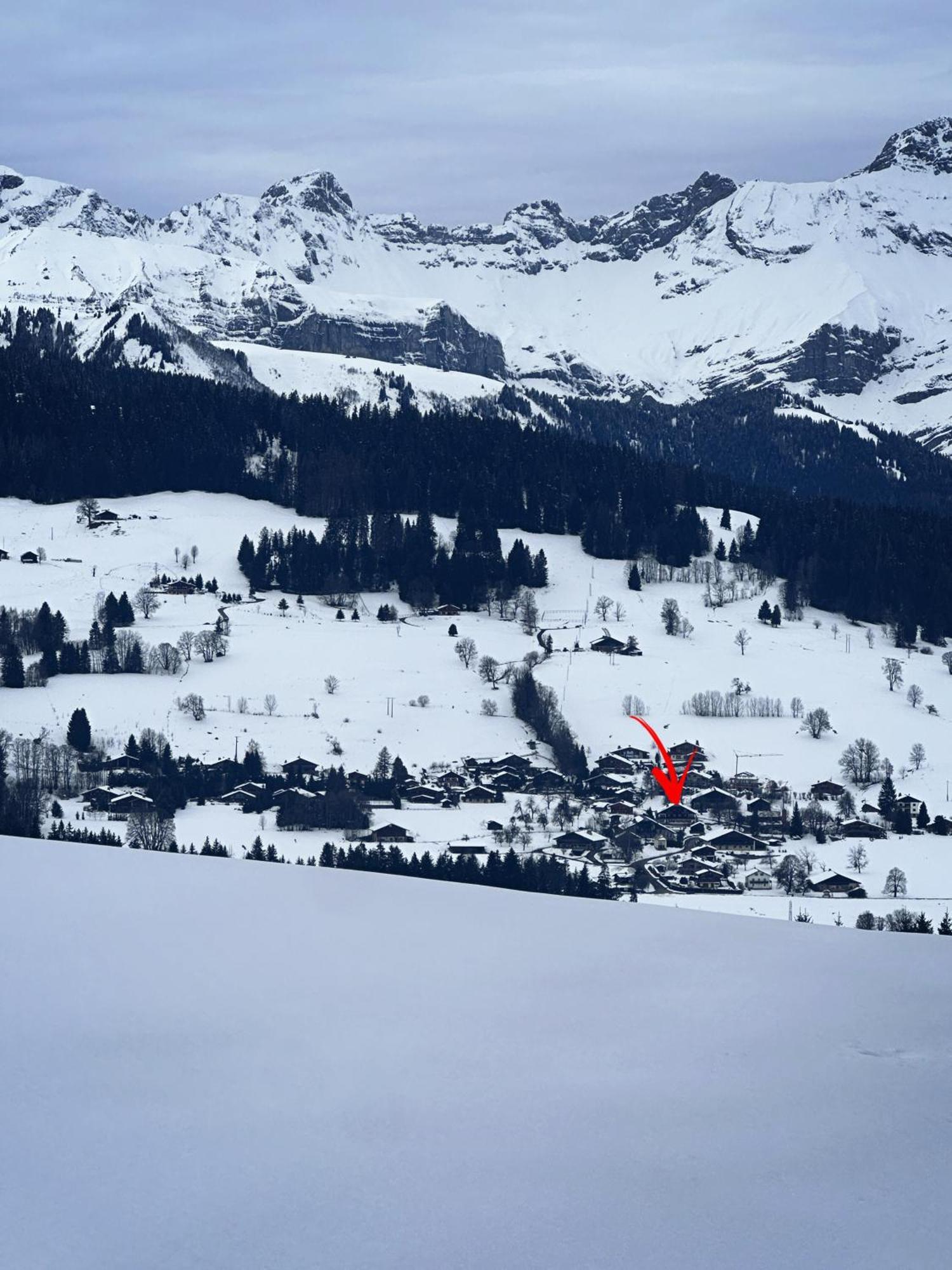 Chalet A Megeve-Vauvray - Grands Appartements , Vue Mont Blanc Demi-Quartier المظهر الخارجي الصورة